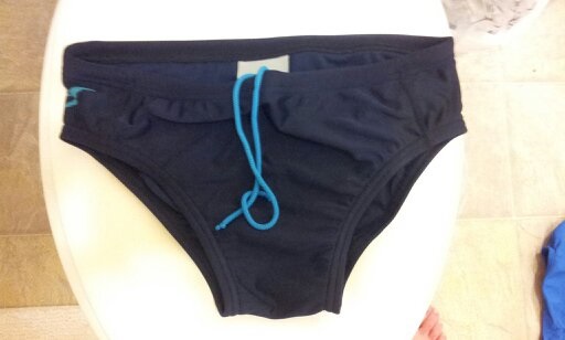 Speedo solid logo brief.jpg